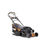 FEIDER, FTDTR5220ES, Wärme Walzenmäher, effizient und einfach zu bedienen,...