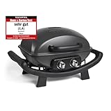 BURNHARD 2-Brenner Gasgrill Wayne – Tragbarer Balkongrill - Tischgasgrill klein mit...