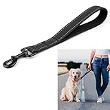 Hundeleine Kurz,Kurzleine Hund mit Gepolsterten Griff,Kurzführer Hund(32 cm Länge,2.5 cm...