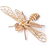 Hohopeti 8 Stück 3D Holzpuzzle Insektenmodell Handgefertigtes Lernspielzeug aus Robustem...