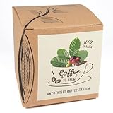 Geschenk-Anzuchtset 'Coffee-to-grow', Kaffeestrauch aus Eigenanbau, Inklusive Kokostopf...