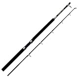 Abu Garcia GT Boat Baitcastruten, Schwarz