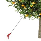 Obstpicker - DREI Krallen Teleskop -Obstpicker | Raumsparende Fruitt Pickerr-Werkzeug mit...