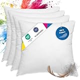wometo 4er Set Federkissen 100% Federn 40x40-300g Oeko-TEX Sofakissen Kissen Füllkissen...