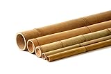 Bambusrohre - Bambus Stangen in vielen Größen (Ø 3-4 cm x L: 200 cm)