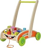 Eichhorn 100001833, Spiel- und Lauflernwagen - teilmontiert - mit 35 bunten Bausteinen aus...