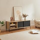 [en.casa] TV Schrank Tysnes Lowboard mit 2 Schiebetüren Fernsehtisch mit...