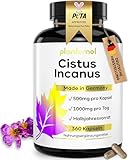 360 Cistus Incanus Kapseln hochdosiert - 1000mg reines Zistrosenkraut pro...