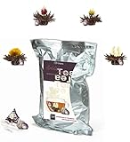 Creano Teeblumen 36 Teekugeln im Tassenformat - Teelini schwarzer Tee...