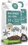 Bio Palmenerde 40 L (2x20L) - Blumenerde Zimmerpflanzen Erde aus 45% weniger Torf - Erde...