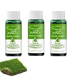 Deno Grünes Gras-Rasenspray, Flüssig, 3 Stück, Grünes Gras,...