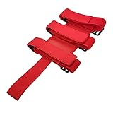 Lwenwen Store Auto-Kofferraum-Feuerlöscher-Halter-Bar-Riemen Sicherheitsschutz Fit for...