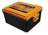 LIONTRON LiFePO4 12,8V 200Ah LX Arctic Under seat Battery; 2560Wh; geeignet für die...