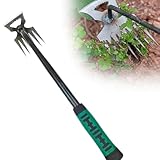 Flanliy Unkrautstecher, Unkraut Entferner Gerät, Gartengeräte Edelstahl, Gartenarbeit...