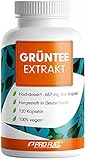 Grüntee Extrakt 120x Grüner Tee Kapseln - 1333 mg pro Tag, davon 600 mg EGCG - Grüntee...