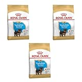 Royal Canin Yorkshire Terrier Puppy Trockenfutter | 3er Pack | 3 x 500 g | Speziell für...