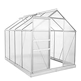Zelsius Aluminium Gewächshaus für den Garten | inklusive Fundament | 250 x 190 cm | 6 mm...