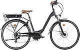 i-Bike Unisex – Erwachsene Urban 600 Elektrofahrrad mit Pedalunterstützung,...