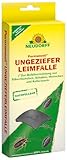 Neudorff Permanent UngezieferLeimFalle – Zur zuverlässigen Bekämpfung von kriechendem...