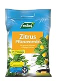 Westland Zitruspflanzen Erde, 8 l – Erde mit Tongranulat für gesunde...