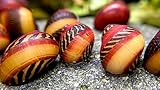 WaterPlants 5 Stk. Rote Rennschnecke ''super Algenfresser'' und eine absolute...