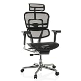 hjh OFFICE Bürostuhl ergonomisch ERGOHUMAN GEN2 Originales Design, 24h Einsatz...