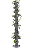 GUSTA GARDEN Sissi Strawberry (Infinity, anthrazit/grau) -...
