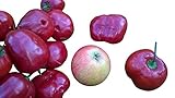 Baumchili Red 10 Samen -Super Chili- ,NOT ROCOTO'