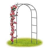 Forever Speed Rosenbogen Torbogen Garten Rankgitter Rosenhilfe aus Pulverbeschichtetem...