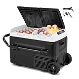 GOPLUS 40L Kompressor Kühlbox Dual Zone, Mini-Kühlschrank - 12V/240V | LED-Anzeige |...
