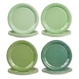 EVYIENEN 48 Stück Salbeigrün Farbverlauf Pappteller, Partyteller Partyset...