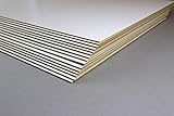 10 Stück Zuschnitte MDF Holzwerkstoff Platten Einseitig Weiß lackiert 40x60 cm...