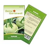 Kohlrabi Superschmelz Samen - Brassica oleracea - Kohlrabisamen - Gemüsesamen -...