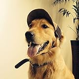 Hunde Baseballmütze Verstellbar Hunde Hut Hundecap mit Ohrlöchern Atmungsaktiv...