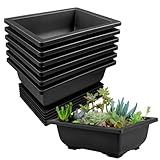 6 Stück Bonsai Schale, 16x12x6cm Bonsai Topf, Bonsaischale mit Tabletts, Kunststoff...