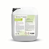 Terra Domi Rusche Steindusche, 5 Liter, Steinreiniger für bis zu 2000 m²,...
