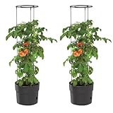 BirnePower 2X Tomatentopf Blumentopf Tomatenkübel 12L Topf für Tomatenpflanzen...
