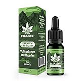 VITAL24 CBD-ÖL 10% - Vollspektrum Hanföl Tropfen - 10 Prozent Cannabidiol -...