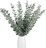 ASOPFYUM Eukalyptus Künstlich, 20 Stück Künstliche Blätter zur Botanischen...