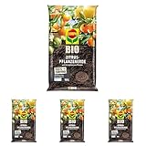 COMPO Bio Zitruspflanzenerde, Erde auch für mediterrane Pflanzen geeignet, Torffrei, 10...