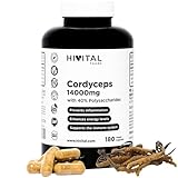Cordyceps 14000 mg 180 vegane Kapseln für 3 Monate Cordyceps Sinensis CS-4 mit...