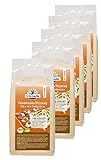 Erdschwalbe Bio Flammkuchen-/Pizzateig Backmischung - glutenfrei - 5er Pack (5 x 150g)