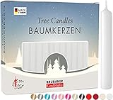 BRUBAKER 20er Pack Baumkerzen Wachs - Weihnachtskerzen Pyramidenkerzen Christbaumkerzen -...