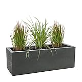 Pflanzwerk® Pflanzkübel Anthrazit Kunststoff 27x80x30cm *Frostbeständig* *100%...