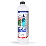 Algenvernichter – Hochwirksamer Pool-Algenentferner für kristallklares Wasser,...