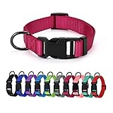 AUDWUD Dickes Nylonhalsband,klassisches verstellbares Hundehalsband in Mehreren...
