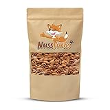 Aprikosenkerne bitter 1kg bittere ganze Aprikosenkerne ungesalzen ungeröstet...
