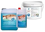 KaiserRein 1 L und 5 L Whirlpool Desinfektionsmittel und 8kg PH- (PH Senker) I...