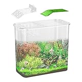 Fish Tank for Betta Fish, Clear Desk Fish Tank, Turtle Tank Starter, Ornamental Fish Bowl,...