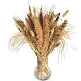Pampasgras | 40 Stiele | 45 cm | Trockenblumen, Boho-Pflanze, Hasenschwanz, echt...